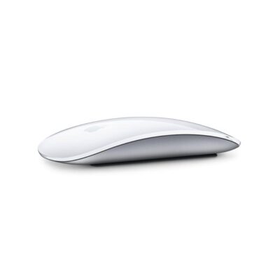 Magic Mouse 2 Usato - Ricondizionato   - Ottimo